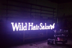 Wild Hair Salon Channel Letters