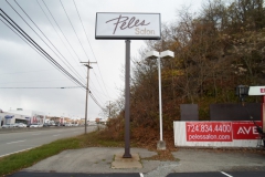 PELES SALON POLE SIGN